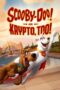 ntMOnvlYYnio7Fx3xqBu9B1Sz7f